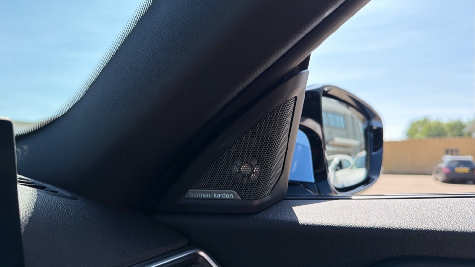 BMW M2 Coupe 3.0 Biturbo Steptronic Euro 6 Ss 202 Blue #20