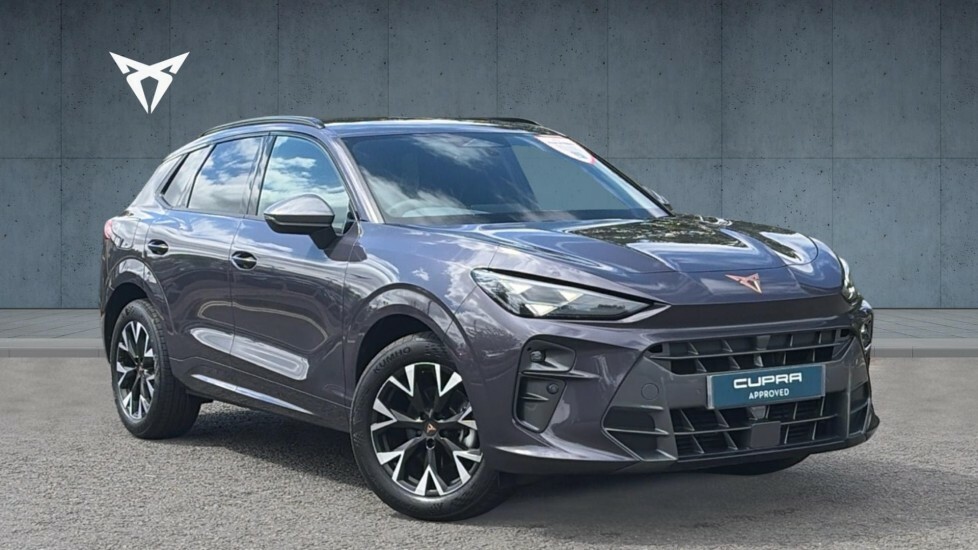 Cupra Terramar V1 Purple