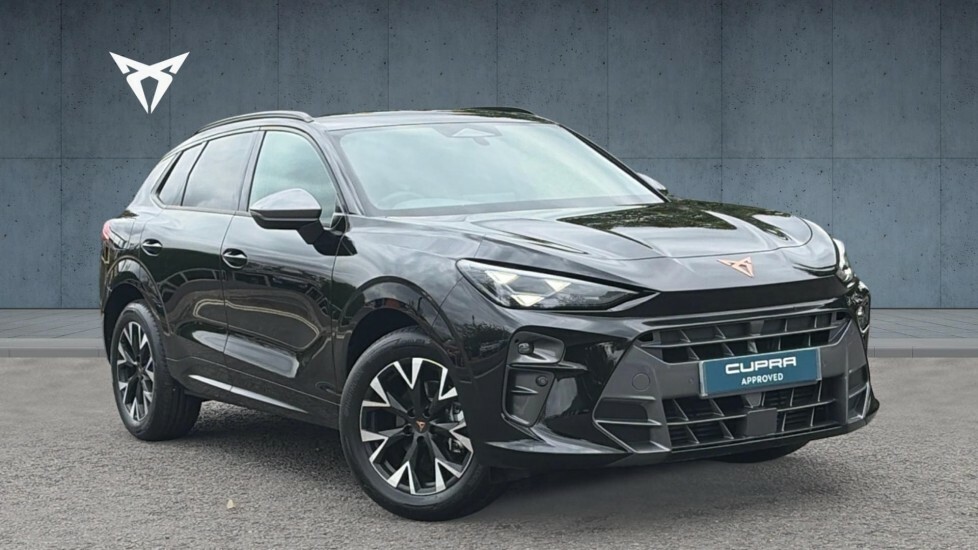 Cupra Terramar V1 Black
