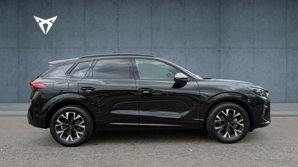 Cupra Terramar V1 Black #4