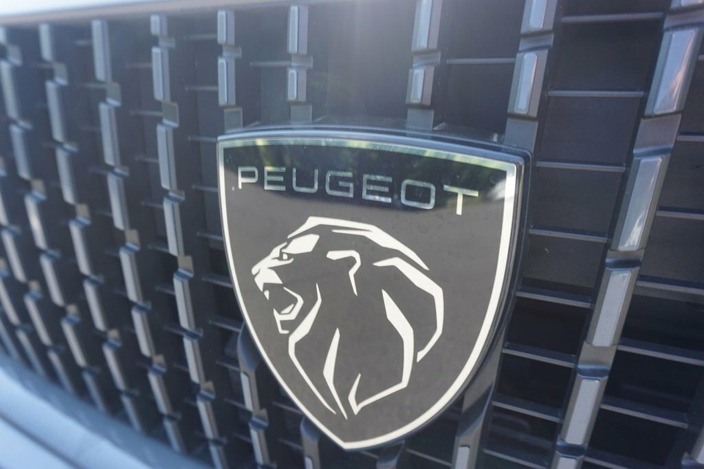 Peugeot e-2008 Gt Grey #20