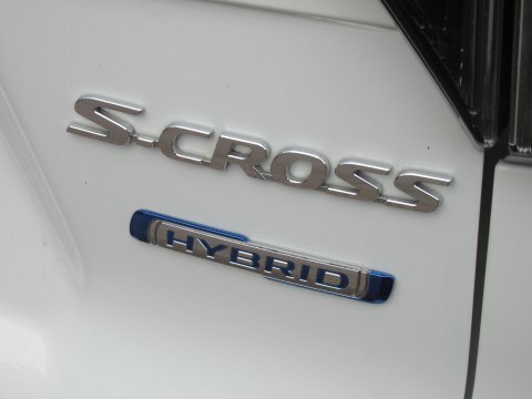 Suzuki SX4 S Cross Sz4 Ddis #9