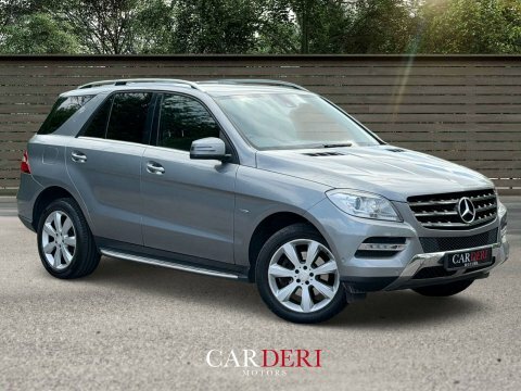 Mercedes-Benz M Class 2.1 Ml250 Special Silver #6