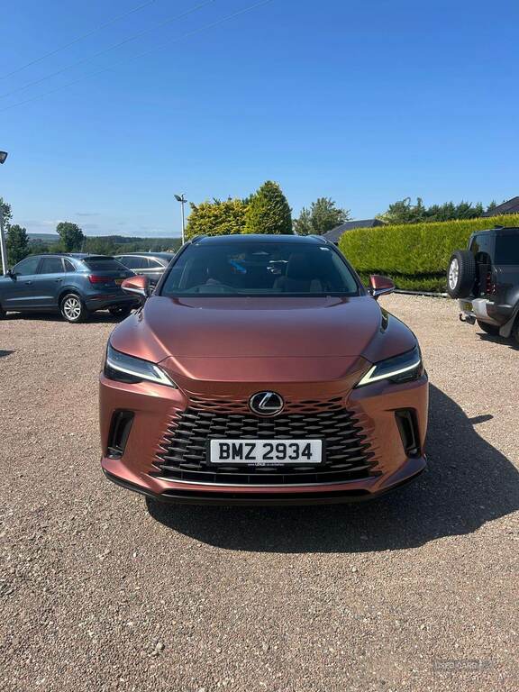 Lexus RX 450H 2.5 Takumi E-cvt Brown #3