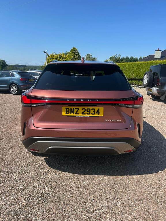Lexus RX 450H 2.5 Takumi E-cvt Brown #6