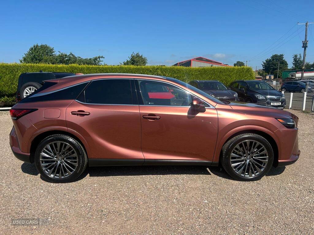 Lexus RX 450H 2.5 Takumi E-cvt Brown #5