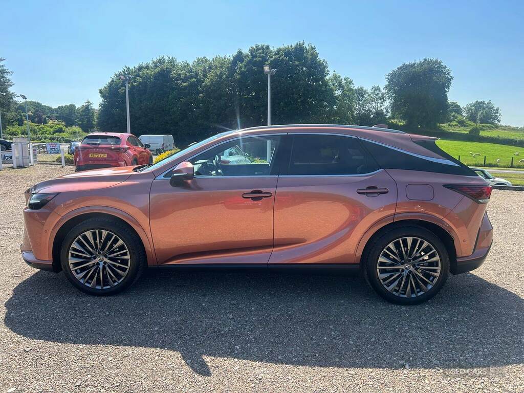 Lexus RX 450H 2.5 Takumi E-cvt Brown #4