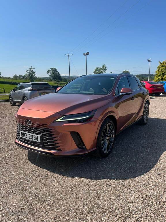 Lexus RX 450H 2.5 Takumi E-cvt Brown #2