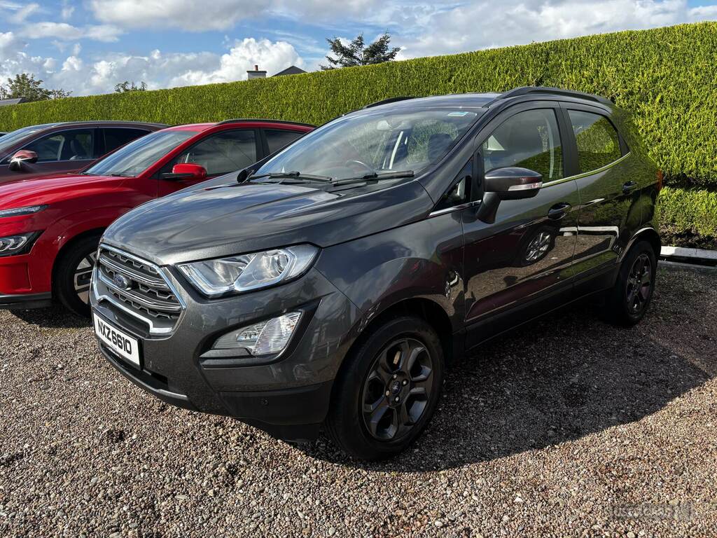 Ford Ecosport 1.0 Ecoboost 125 Zetec Grey #3