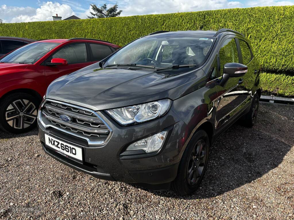 Ford Ecosport 1.0 Ecoboost 125 Zetec Grey #2