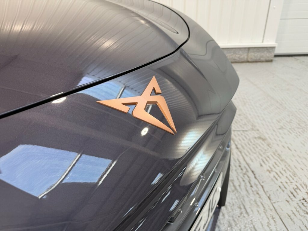 Cupra Terramar 1.5L V2 Purple #6