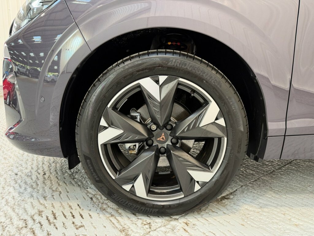 Cupra Terramar 1.5L V2 Purple #4
