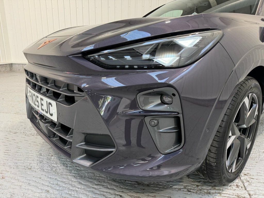 Cupra Terramar 1.5L V2 Purple #5