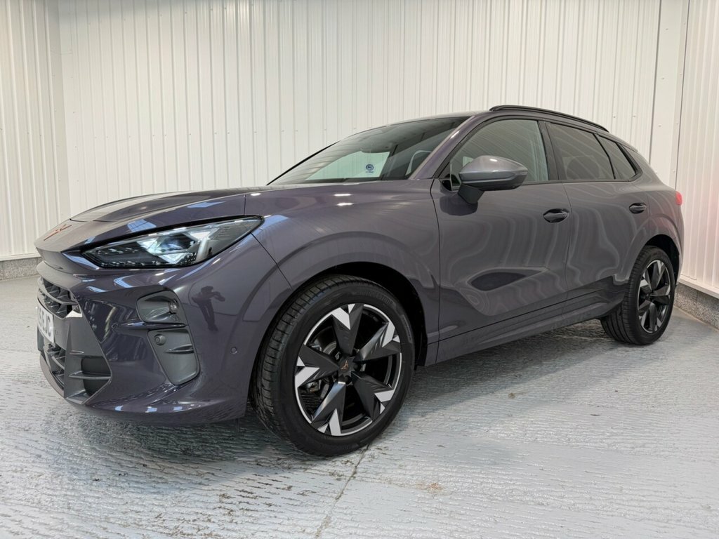 Cupra Terramar 1.5L V2 Purple #3