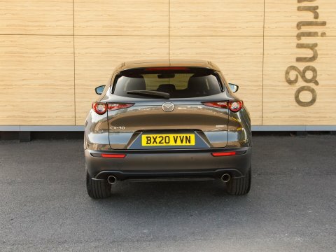 Mazda CX-30 Suv Grey #6