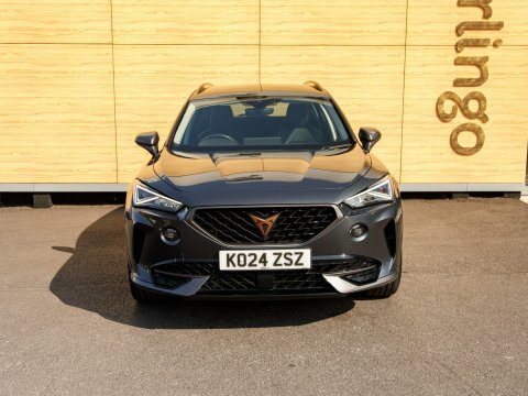 Cupra Formentor Suv Grey #5