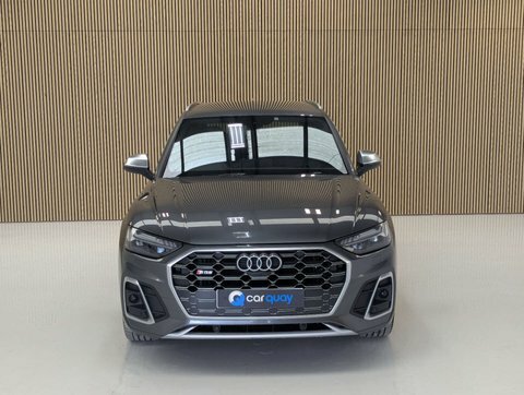 Audi SQ5 3.0 Sq5 Tdi SW71RXU #2