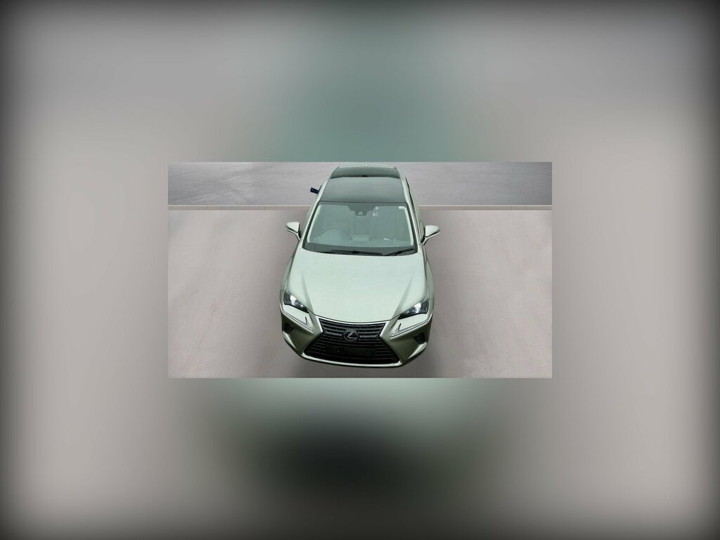 Lexus NX 2.5 300H Gpf E-cvt 4Wd Euro 6 Ss Silver #2