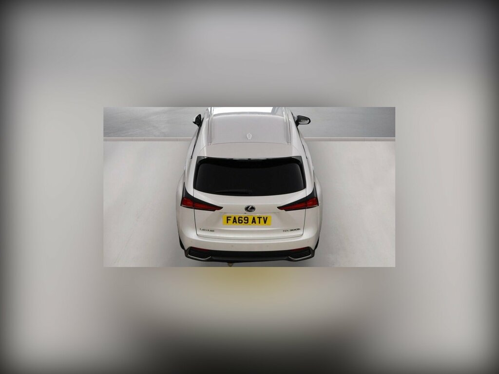 Lexus NX 2.5L Null Silver #11