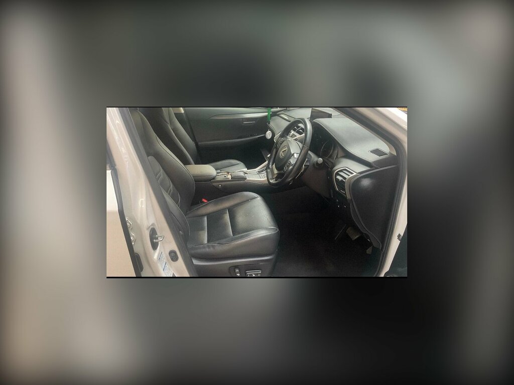 Lexus NX 2.5L Null Silver #8