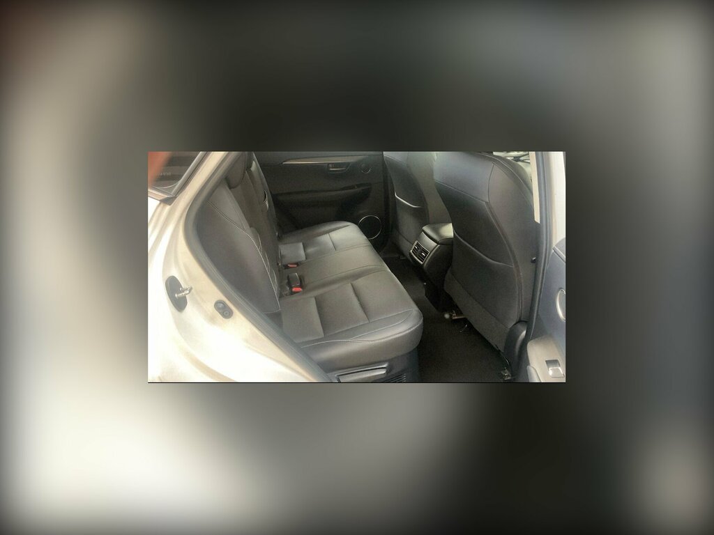 Lexus NX 2.5L Null Silver #9