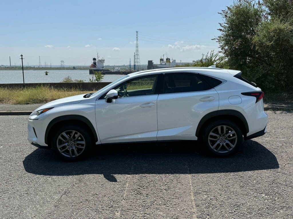 Lexus NX 2.5 300H Gpf E-cvt 4Wd Euro 6 Ss White #5