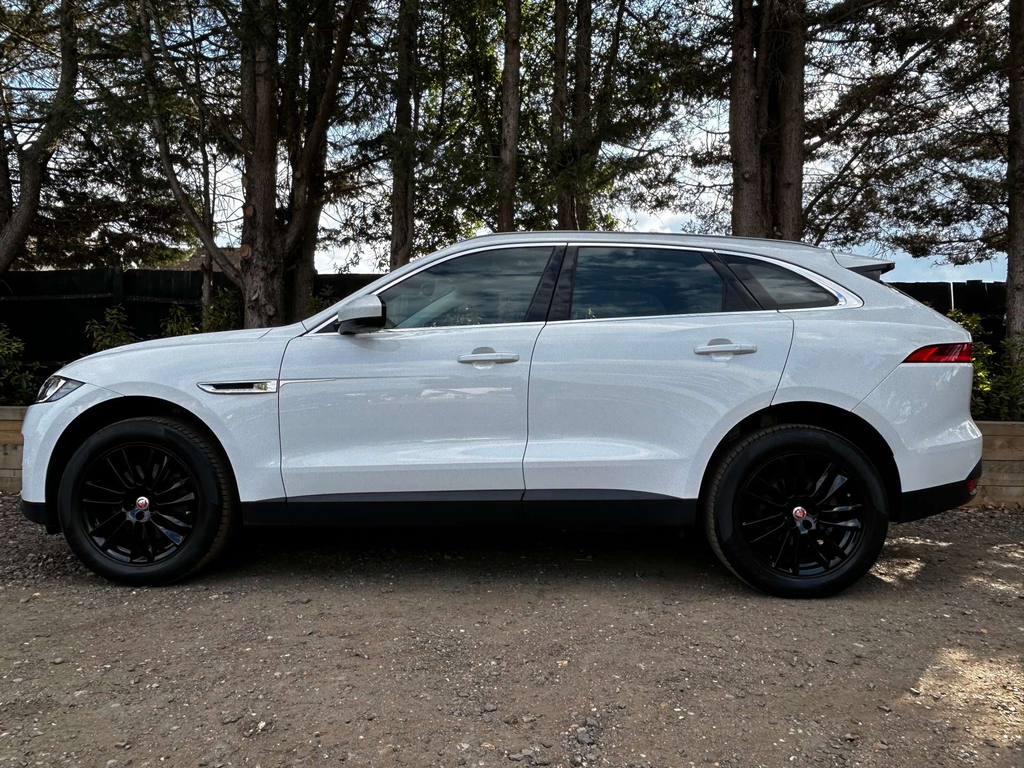 Jaguar F-Pace Portfolio Awd 4Wd KR19FBD White #4