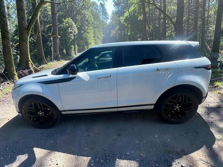 Land Rover Range Rover Evoque 2.0 P250 Mhev R-dynamic Se 4Wd Euro 6 Ss 5 White #6