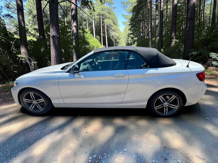 BMW 2 Series 220D M Sport Blue #12