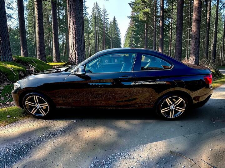 BMW 2 Series 2.0 220I M Sport Coupe Black #9