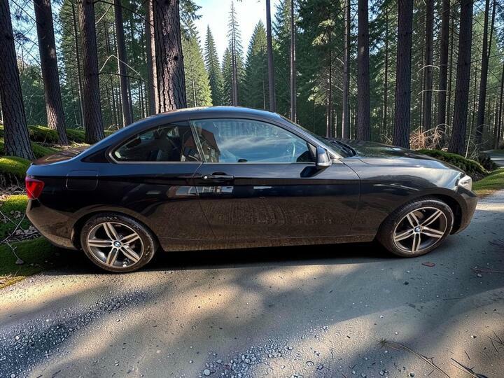 BMW 2 Series 2.0 220I M Sport Coupe Black #12