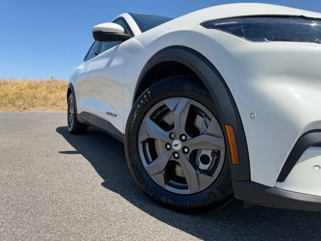 Ford Mustang Mach-E 198Kw Standard Range 68Kwh Rwd Blue #53