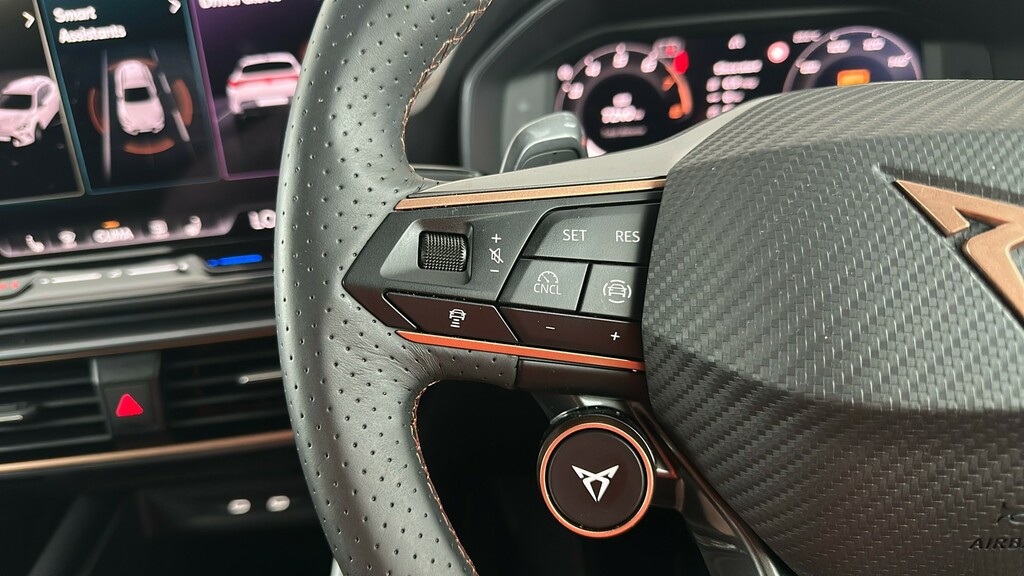 Cupra Formentor Vz2 2.0 Tsi 4Drive 333 7-Speed Black #30