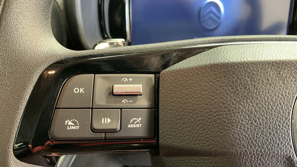 Citroen e-Berlingo 100Kw 52Kwh Van Driver Grey #26