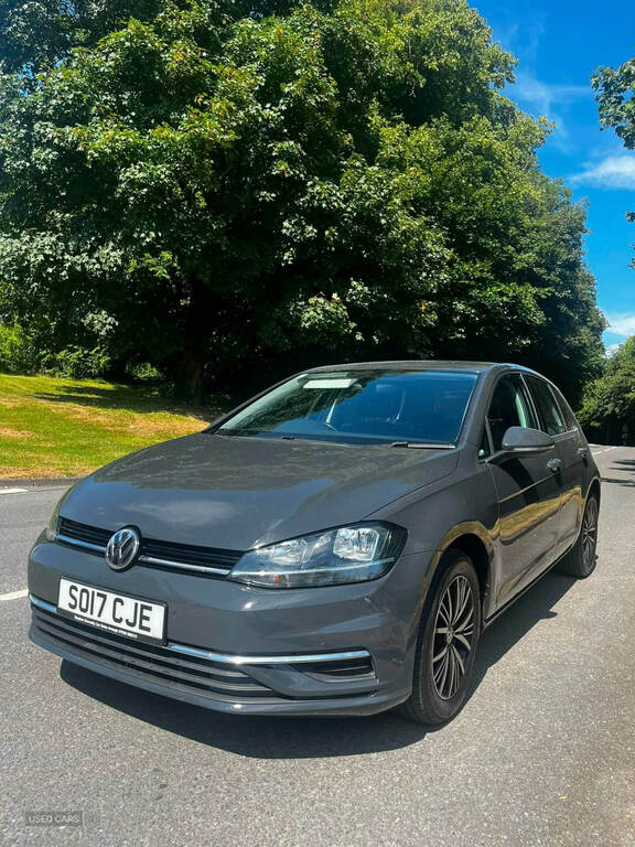 Volkswagen Golf 1.6 Tdi Se Nav Grey
