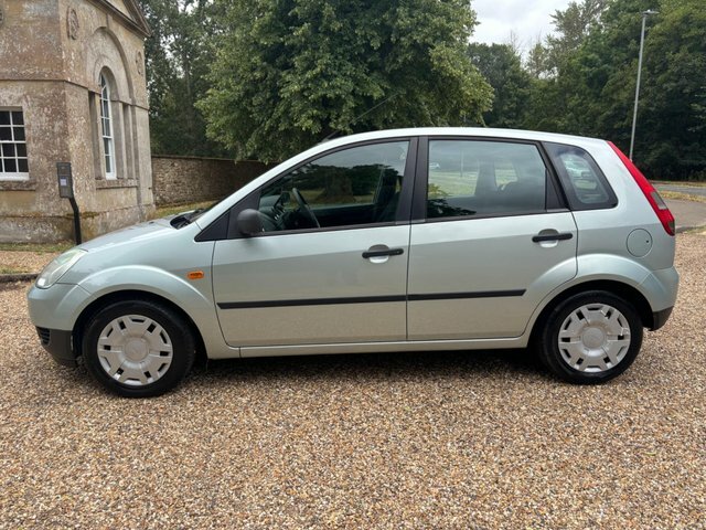 Ford Fiesta Silver #6