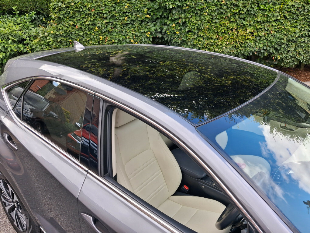Lexus NX 300H 2.5 Cvt Premium Sport Edition Pan Roof #2