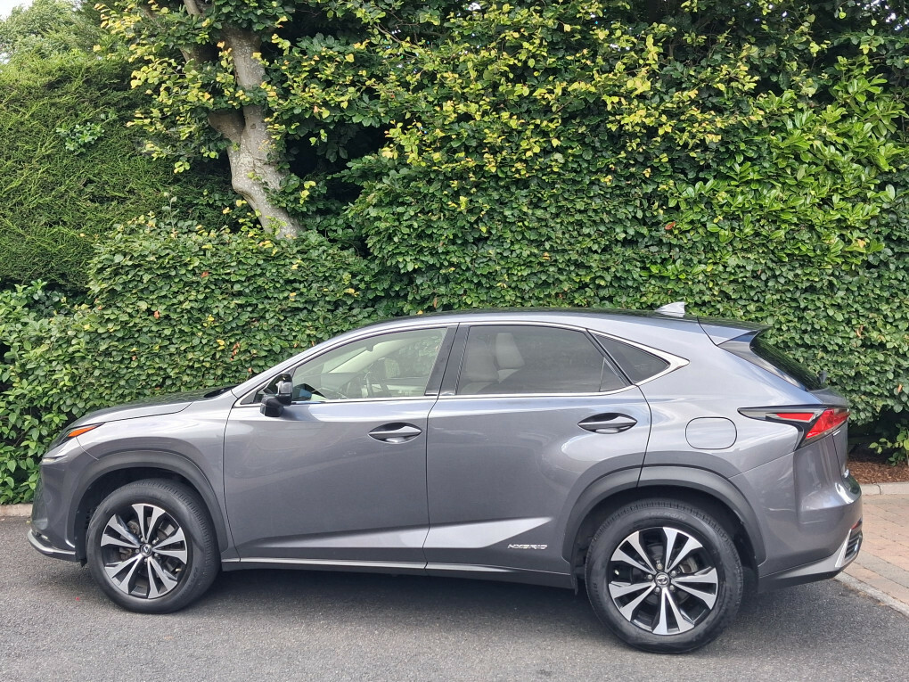 Lexus NX 2.5 300H Gpf Takumi Suv Hybrid E-cvt 4W Silver #7