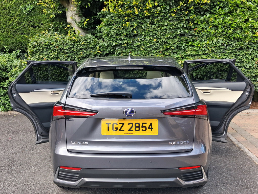 Lexus NX 2.5 300H Gpf Takumi Suv Hybrid E-cvt 4W Silver #10