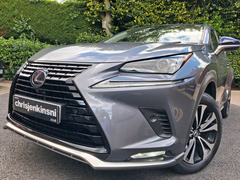 Lexus NX 300H 2.5 Cvt Premium Sport Edition Pan Roof #4