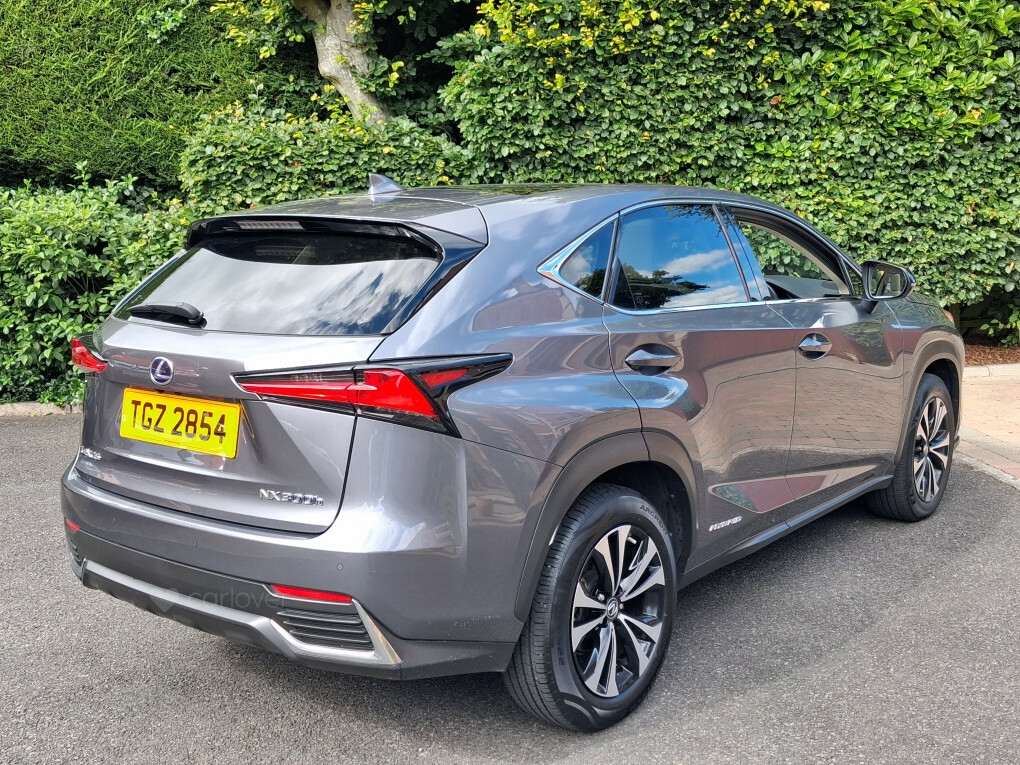 Lexus NX 2.5 300H Gpf Takumi Suv Hybrid E-cvt 4W Silver #8