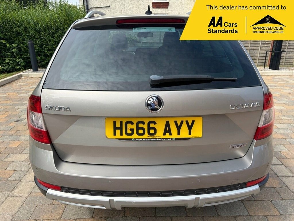 Skoda Octavia 2L Scout Beige #4