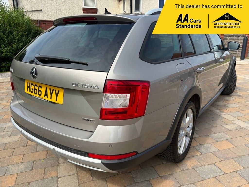 Skoda Octavia 2L Scout Beige #3