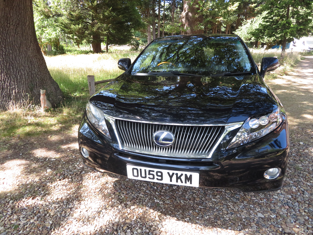 Lexus RX 3.5 L 450H Se-l OU59YKM Blue #2