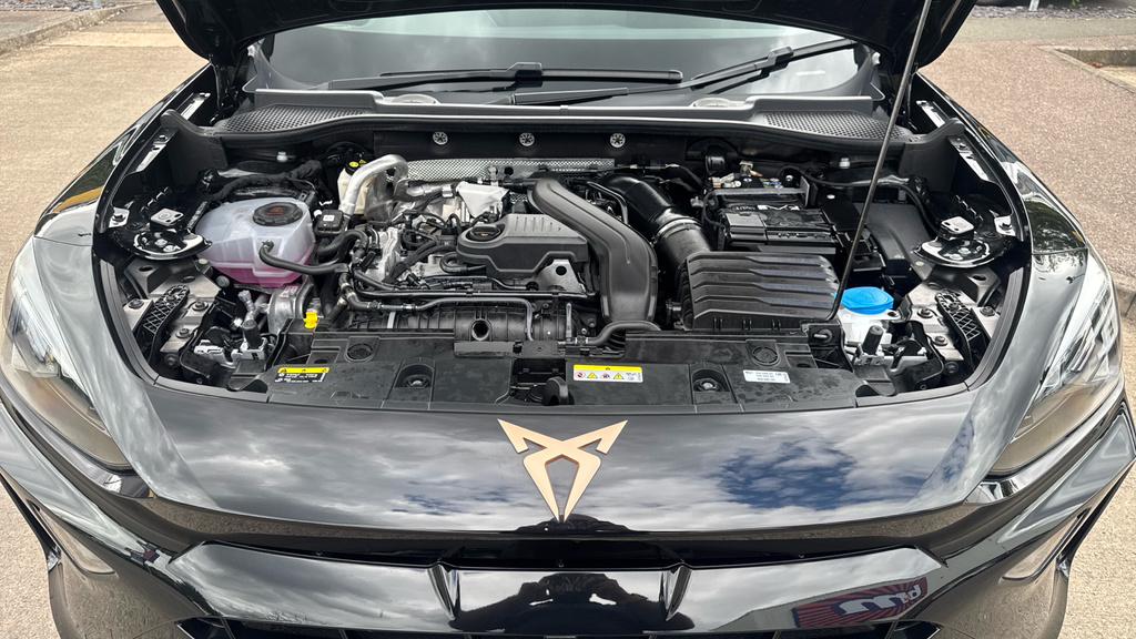 Cupra Formentor 1.5 Etsi V2 Suv Hybrid Dsg Euro 6 Ss Black #16