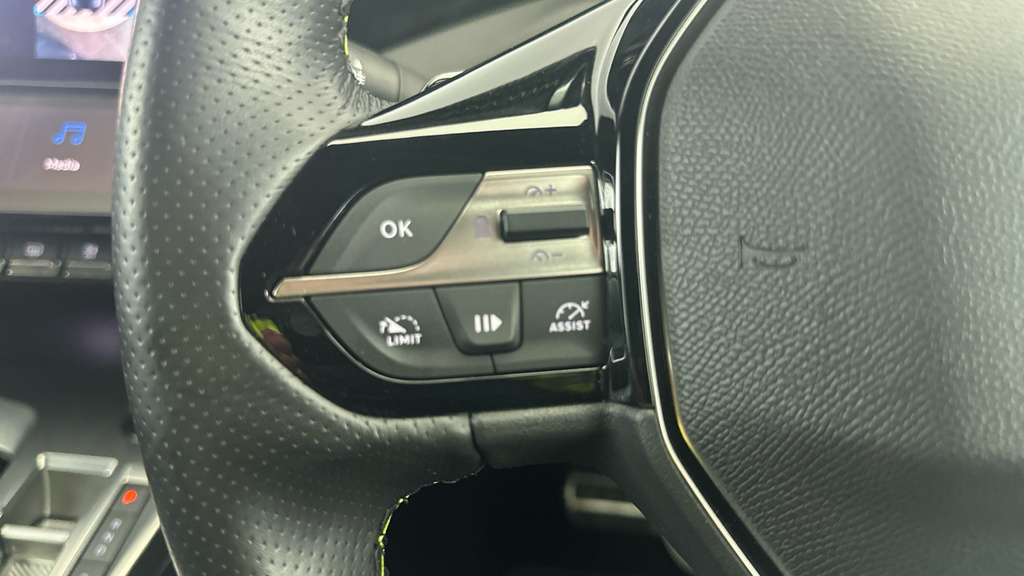 Peugeot 308 1.6 Plug-in Hybrid Allure Premium E-eat8 Green #16