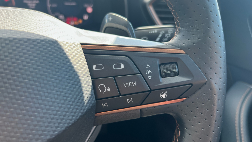Cupra Formentor 2.0 Tsi Vz2 Suv Dsg 4Drive Euro 6 Ss Grey #24
