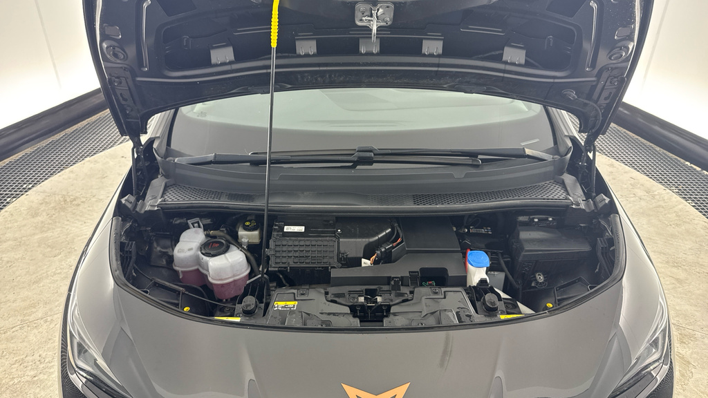 Cupra Born V1 Grey #16