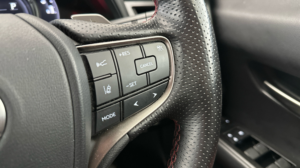 Lexus UX 2L Null Grey #19