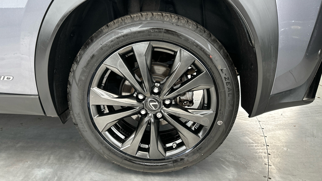 Lexus UX 2L Null Grey #25